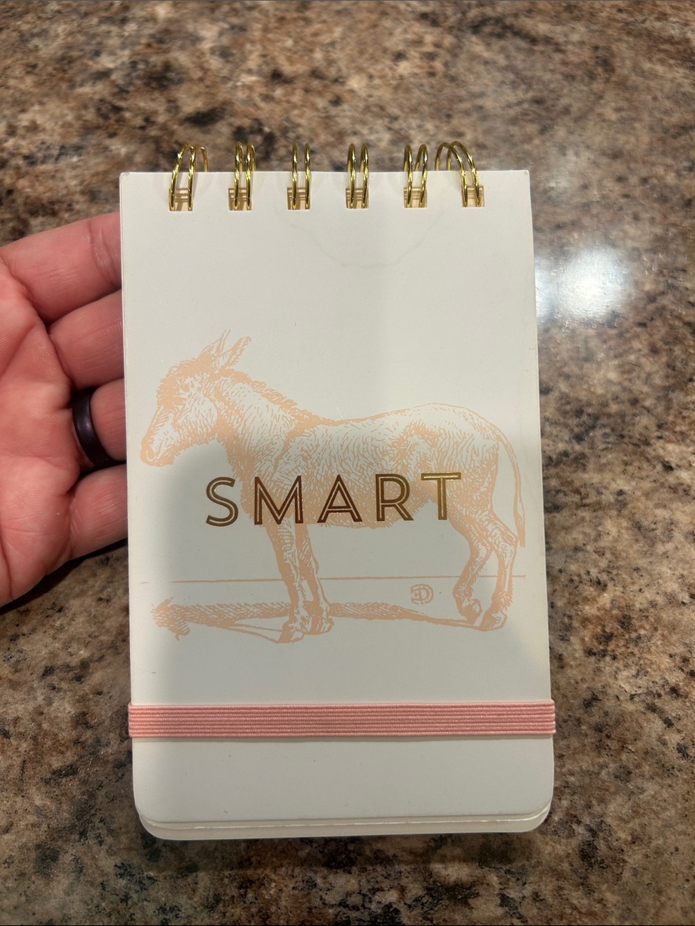 SMART Donkey Spiral Notepad - Cream with Pink Accent